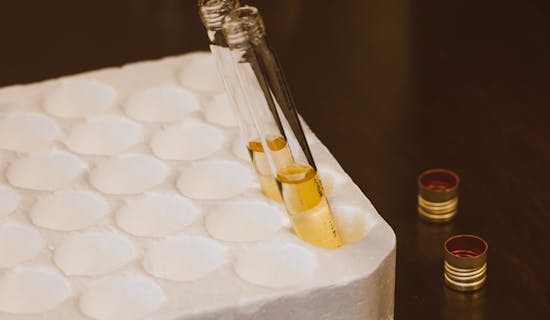 胎儿几个月可以做dna亲子鉴定