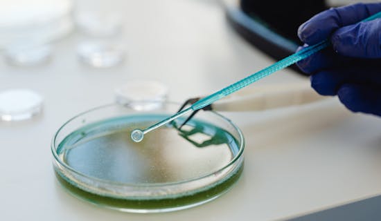 无创dna亲子鉴定到底准不准