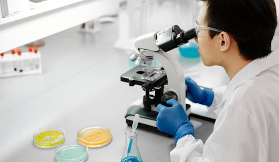 胎儿dna亲子鉴定最早怀孕多久可以做